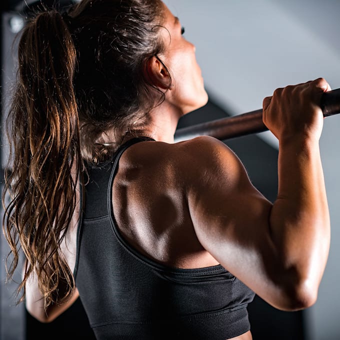 create a professional calisthenics workout plan