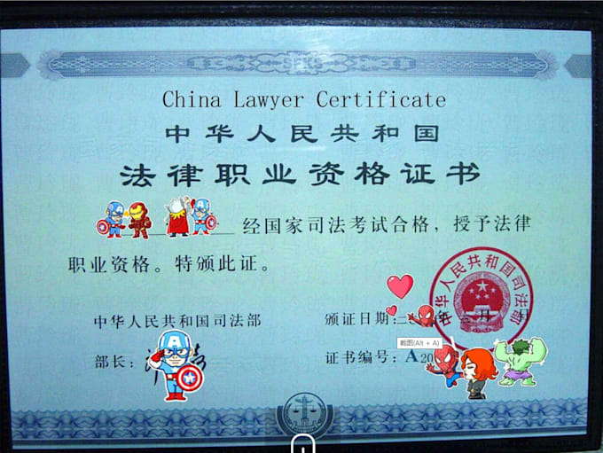 provide china legal consulting service