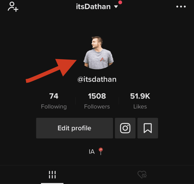 Create A Transparent Profile Picture For Tiktok By Dathanstolba Fiverr