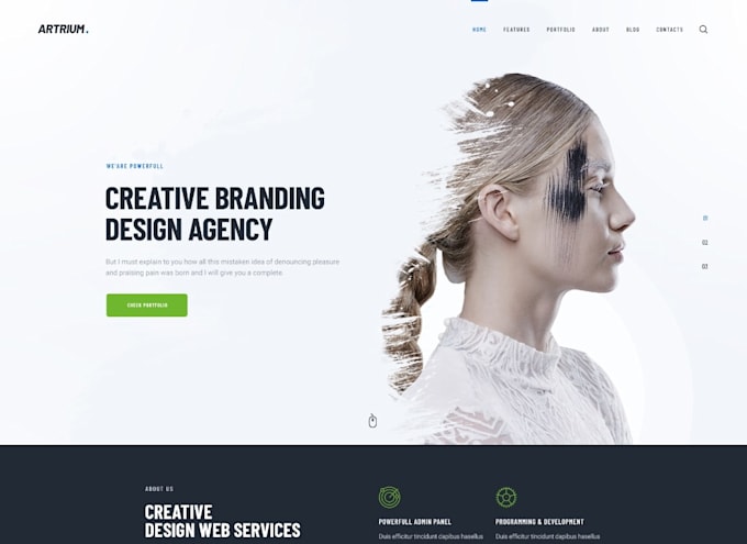 design wordpress saas website
