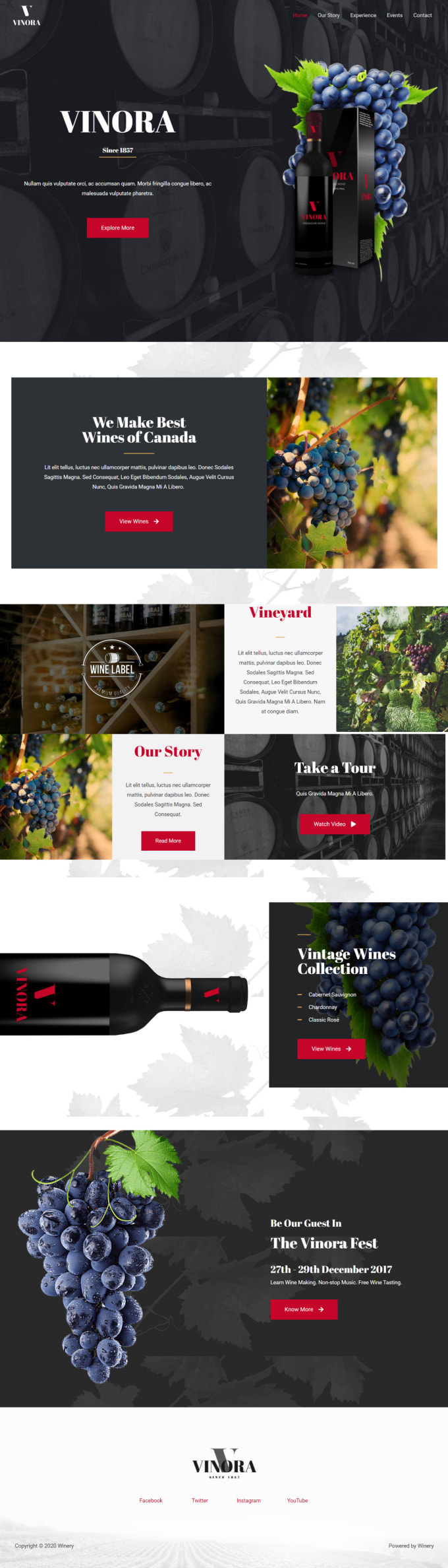 create modern and professional wordpress website