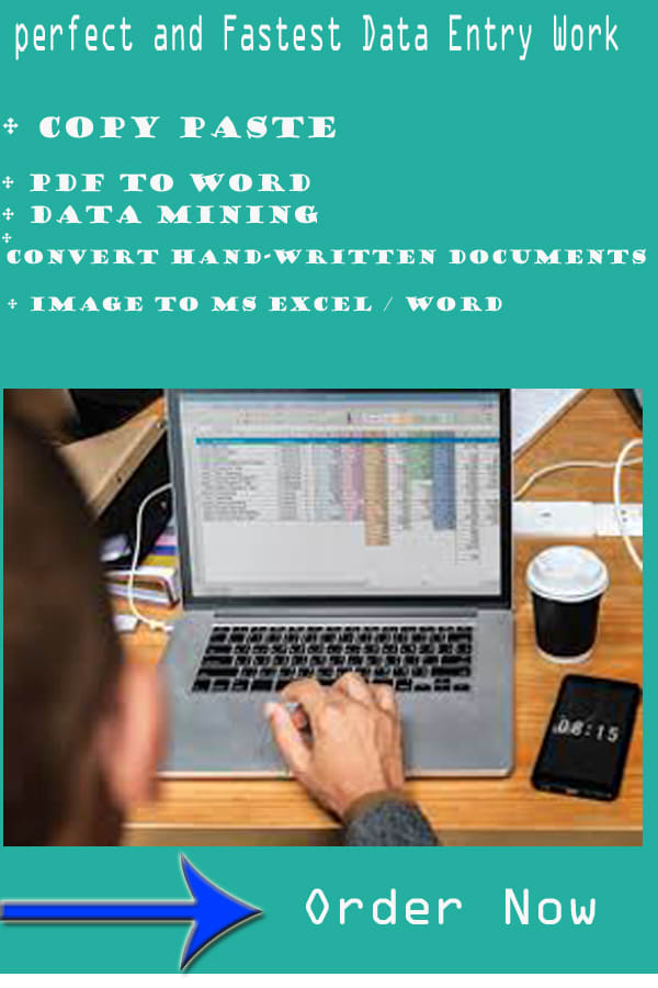 do ultimate professional data entry typing job