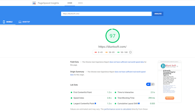 do pagespeed optimization of your wordpress website