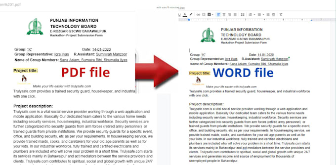 do error free data entry and PDF conversion to word excel