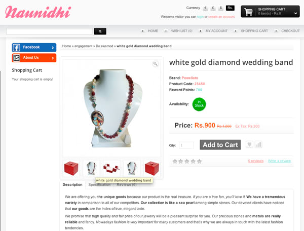 setup online shopping website for you
