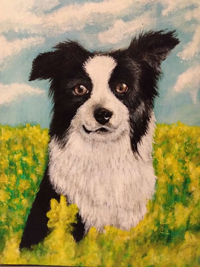 draw a special pet portrait