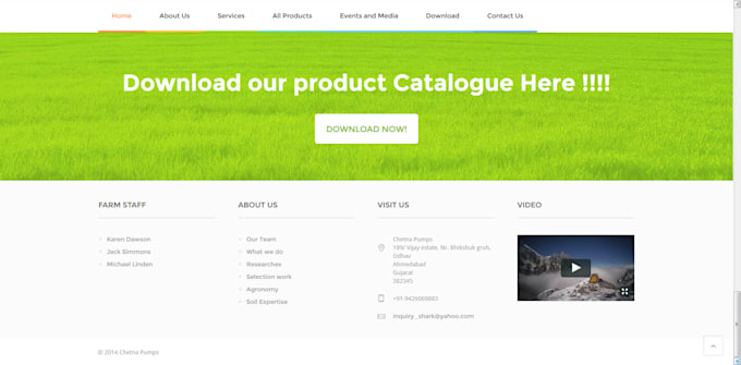 do wordpress theme customization and high quality designing