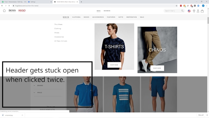 report bugs on your website or app