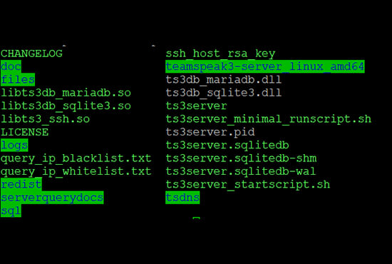 create a teamspeak 3 server on ubuntu