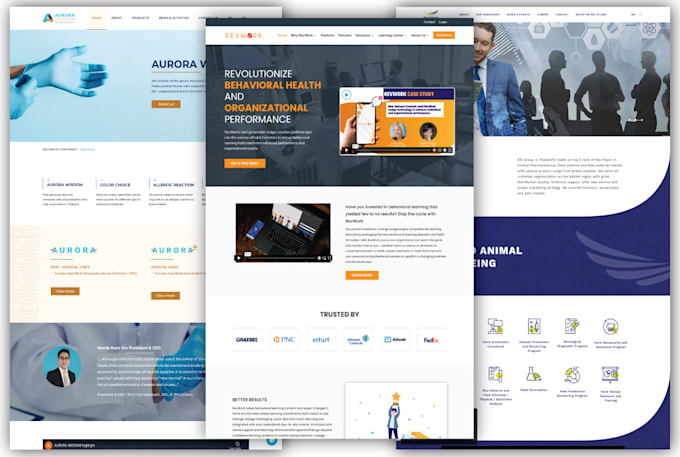 design and develop a clean and modern business website