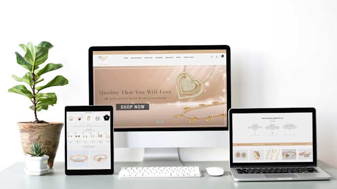 build a modern shopify store website