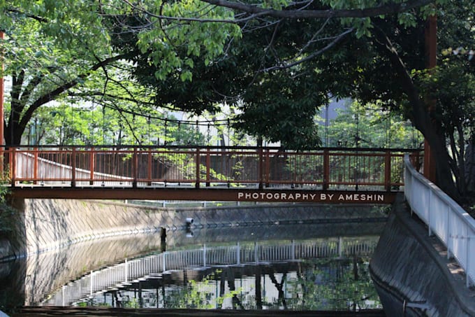 deliver japan based photography of nature or wildlife