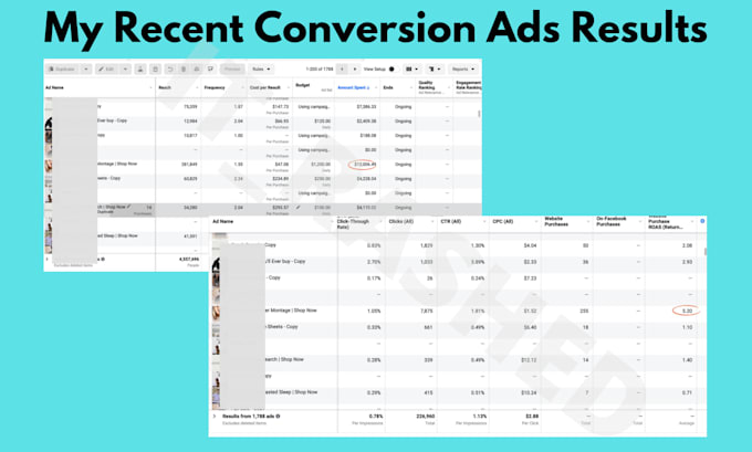 be your expert dropshipping shopify facebook ads manager