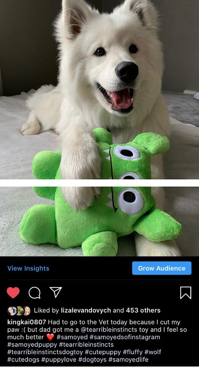 model dog toys treats and products post on instagram to advertise