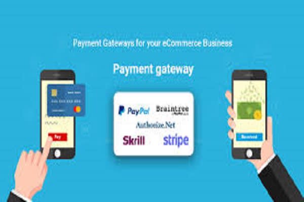 do stripe payment integration in your site