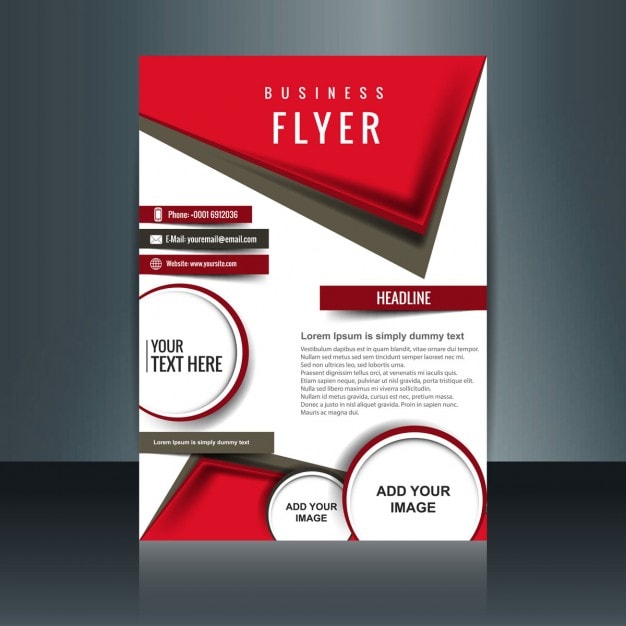 profesional design pamphlet for you