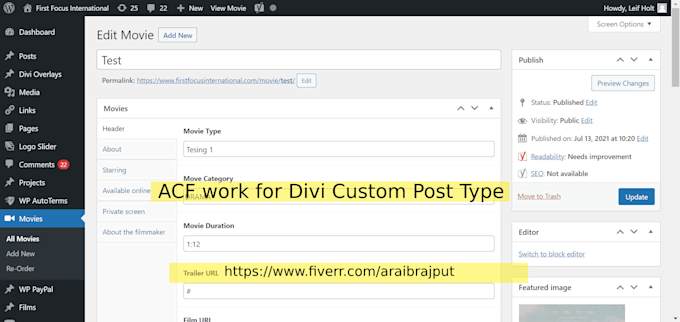 work for your divi project, customization and issues fixing