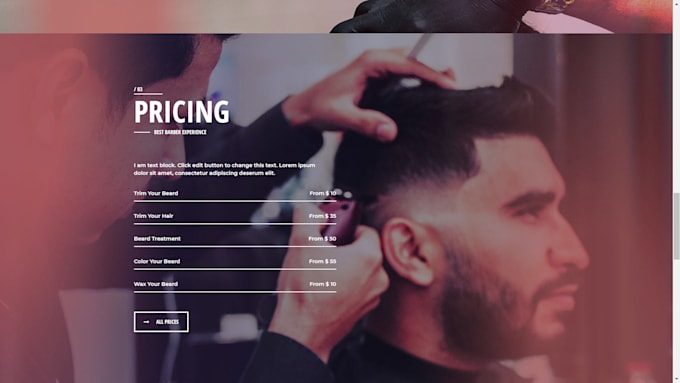 design a professional barber website