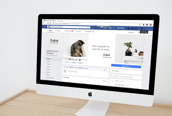 be your social media marketing manager and personal assistant