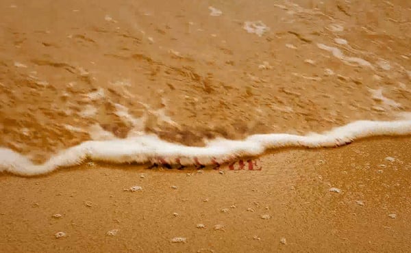 make you a intro video with impressive sea waves