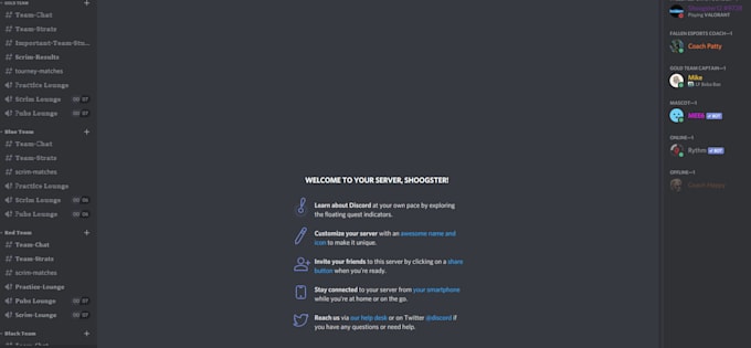 create a discord in under 24 hours high quality