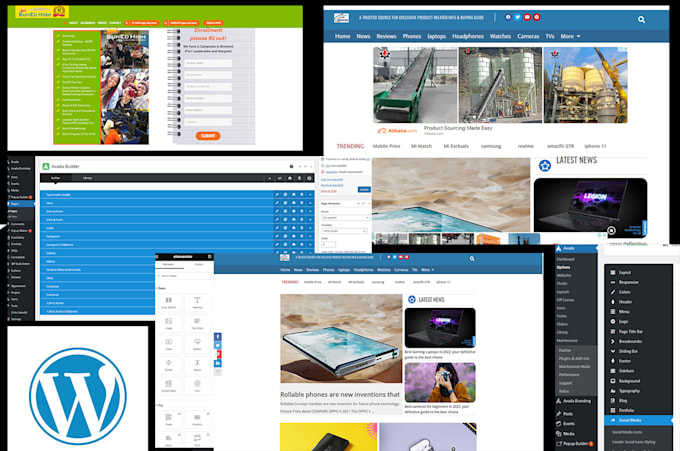 design professional responsive wordpress website for you