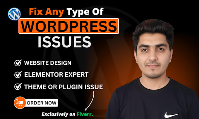 fix wordpress issues, error, edit, elementor pro help, divi website design