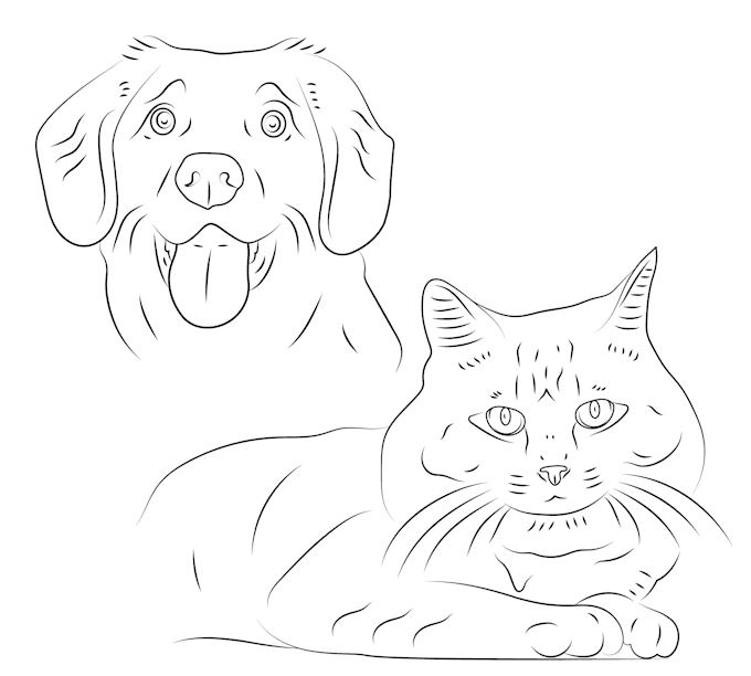 draw simple line art portrait