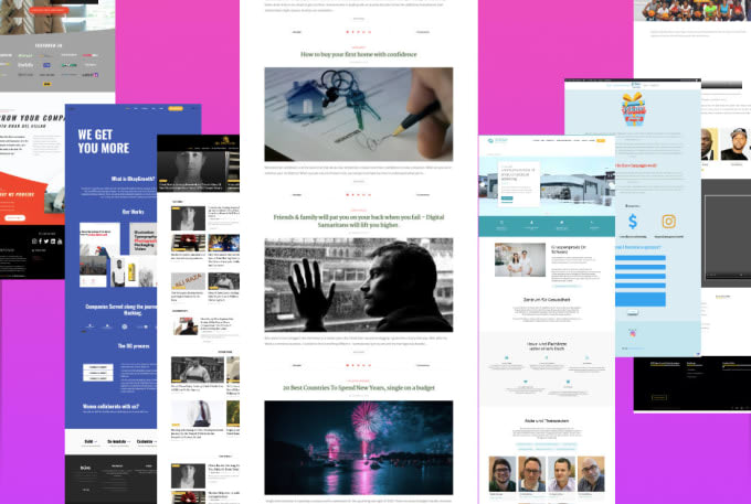 develop wordpress website with divi theme