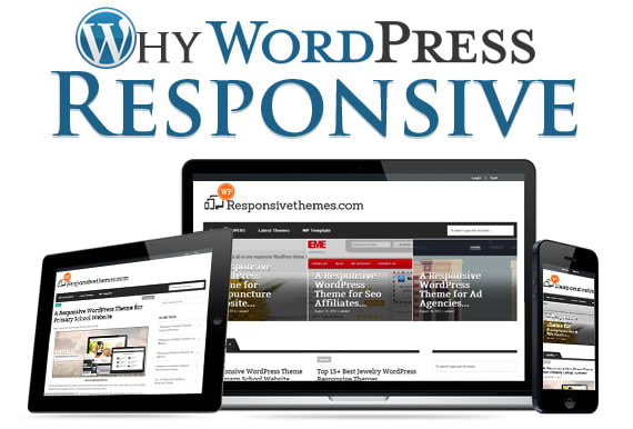 develop an attractive wordpress website
