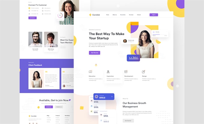 design and develop a responsive premium wordpress website