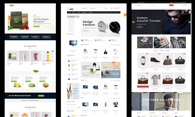 build modern wordpress website with SEO