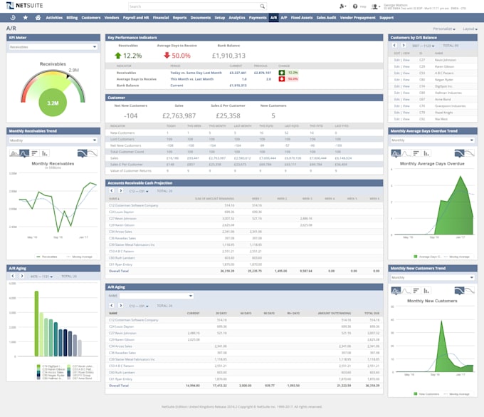 provide netsuite accounting, cleanup, and reconciliation