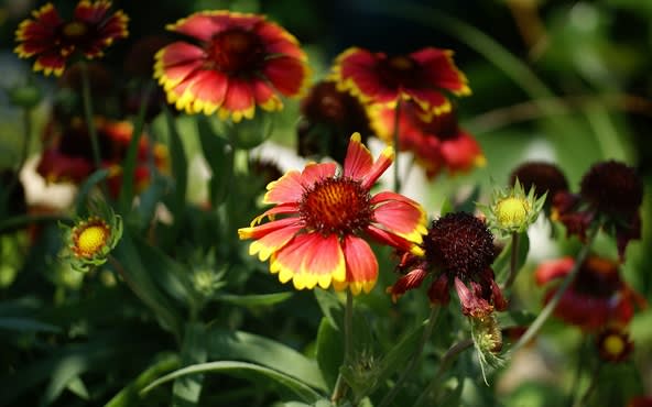 edit some photos for a photograaphy website