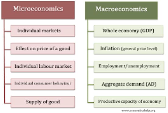 definition of macro management