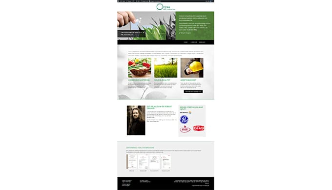duplicate clone wordpress website with elementor pro builder
