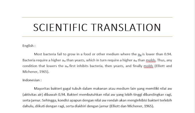 Translate From English To Indonesian By Mirandaz28 Fiverr