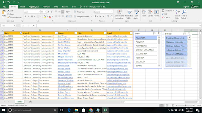professional web research, excel data entry, mailchimp email marketing assistant