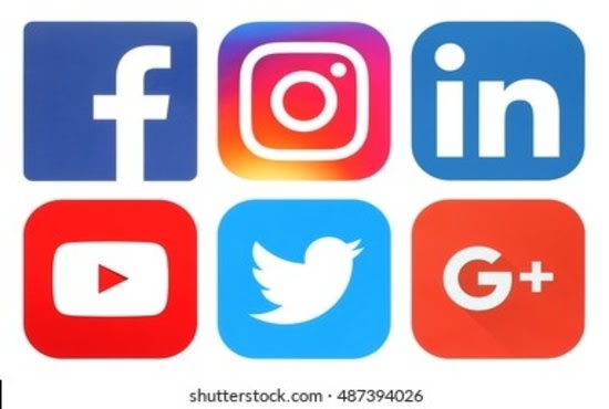 organize social media campaign conversion, traffic