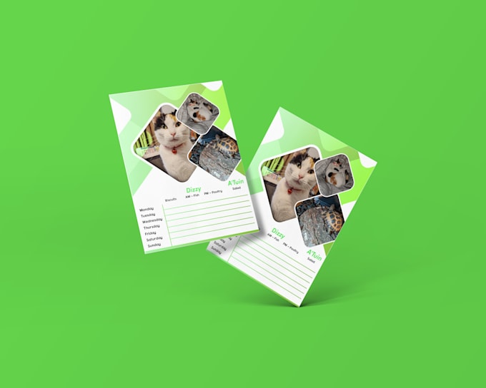 do a3 a4 a5 a6 education, event flyer, or poster design