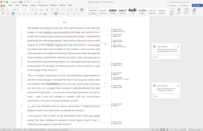 professionally edit your article, blog, or other writing