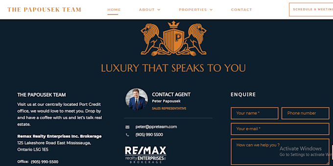 design a professional wordpress website for your business