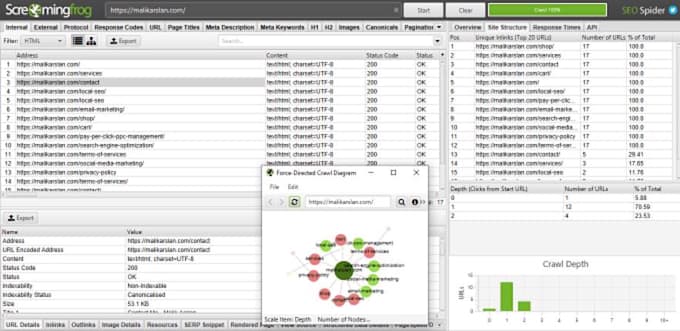 do indepth screaming frog technical SEO audit report with complete action plan