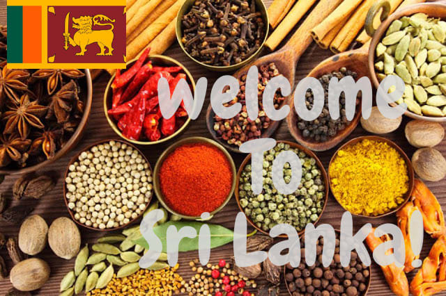 assist you anything in sri lanka