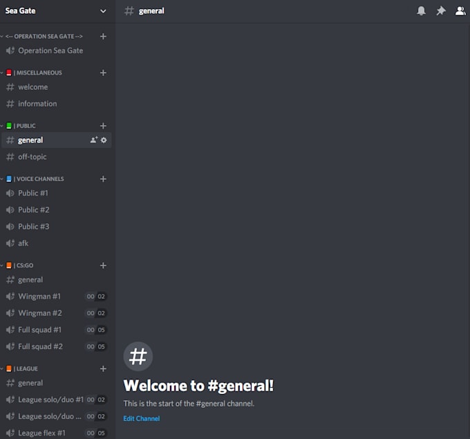 Fully equip and customize a discord server with bots for gaming and