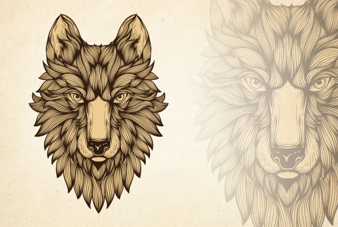 draw animal face illustration