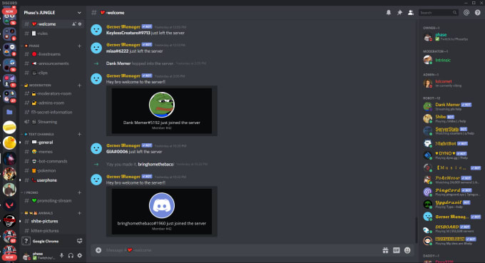 Make you your very own discord server by spicandmic fiverr