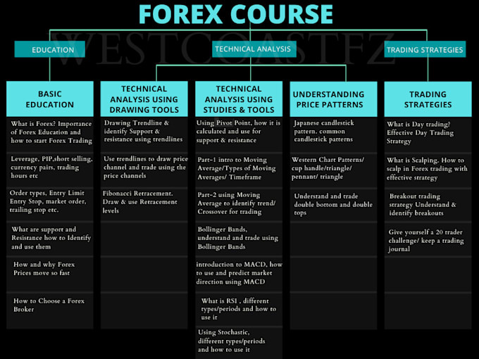 write a forex course and build a money making educational website