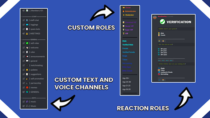 setup a professional discord server