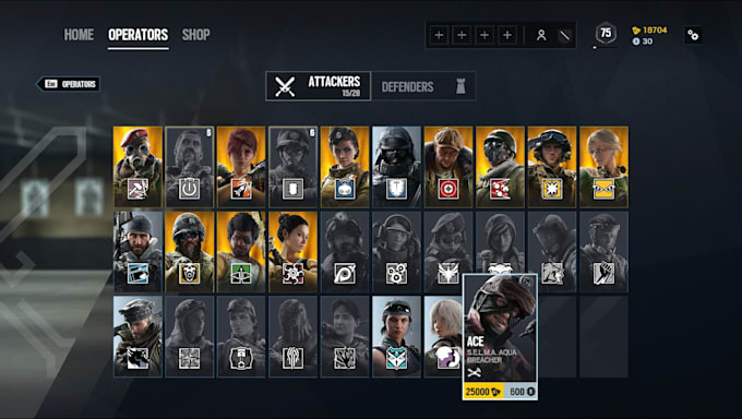 sell you every elite rainbow six siege skin